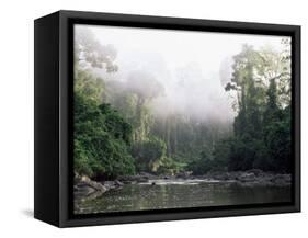 Rainforest, Danum Valley, Sabah, Malaysia, Island of Borneo, Southeast Asia-Lousie Murray-Framed Stretched Canvas