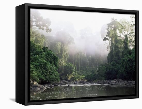 Rainforest, Danum Valley, Sabah, Malaysia, Island of Borneo, Southeast Asia-Lousie Murray-Framed Stretched Canvas
