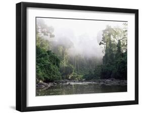 Rainforest, Danum Valley, Sabah, Malaysia, Island of Borneo, Southeast Asia-Lousie Murray-Framed Premium Photographic Print