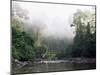 Rainforest, Danum Valley, Sabah, Malaysia, Island of Borneo, Southeast Asia-Lousie Murray-Mounted Premium Photographic Print