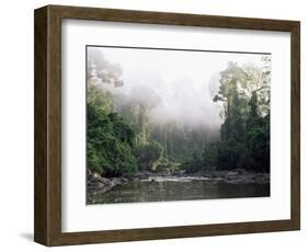 Rainforest, Danum Valley, Sabah, Malaysia, Island of Borneo, Southeast Asia-Lousie Murray-Framed Photographic Print