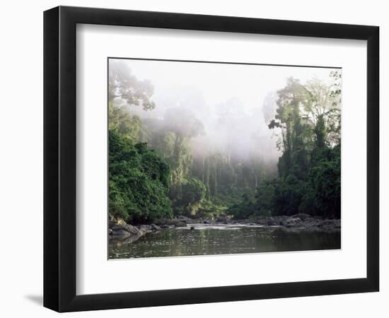 Rainforest, Danum Valley, Sabah, Malaysia, Island of Borneo, Southeast Asia-Lousie Murray-Framed Photographic Print