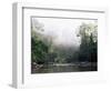 Rainforest, Danum Valley, Sabah, Malaysia, Island of Borneo, Southeast Asia-Lousie Murray-Framed Photographic Print