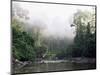 Rainforest, Danum Valley, Sabah, Malaysia, Island of Borneo, Southeast Asia-Lousie Murray-Mounted Photographic Print