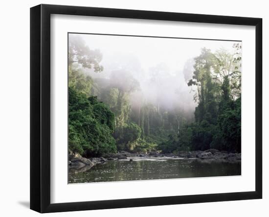 Rainforest, Danum Valley, Sabah, Malaysia, Island of Borneo, Southeast Asia-Lousie Murray-Framed Photographic Print