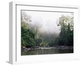 Rainforest, Danum Valley, Sabah, Malaysia, Island of Borneo, Southeast Asia-Lousie Murray-Framed Photographic Print