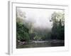 Rainforest, Danum Valley, Sabah, Malaysia, Island of Borneo, Southeast Asia-Lousie Murray-Framed Photographic Print