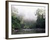 Rainforest, Danum Valley, Sabah, Malaysia, Island of Borneo, Southeast Asia-Lousie Murray-Framed Photographic Print