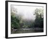 Rainforest, Danum Valley, Sabah, Malaysia, Island of Borneo, Southeast Asia-Lousie Murray-Framed Photographic Print