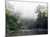 Rainforest, Danum Valley, Sabah, Malaysia, Island of Borneo, Southeast Asia-Lousie Murray-Mounted Photographic Print