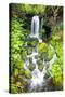 Rainforest Falls-Douglas Taylor-Stretched Canvas
