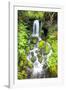 Rainforest Falls-Douglas Taylor-Framed Photographic Print
