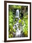 Rainforest Falls-Douglas Taylor-Framed Photographic Print