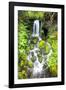 Rainforest Falls-Douglas Taylor-Framed Photographic Print