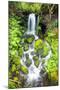 Rainforest Falls-Douglas Taylor-Mounted Photographic Print