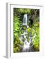 Rainforest Falls-Douglas Taylor-Framed Photographic Print