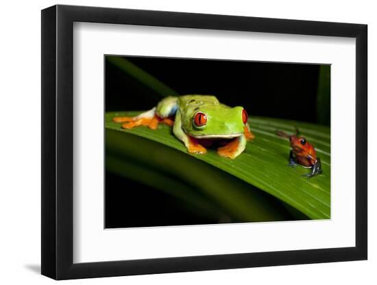 Premium Photographic Print, , large