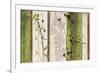 Rainforest Impressions 1-Bella Dos Santos-Framed Premium Giclee Print