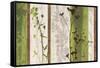 Rainforest Impressions 1-Bella Dos Santos-Framed Stretched Canvas