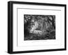 Rainforest in British Honduras, 19th Century-Edouard Riou-Framed Giclee Print