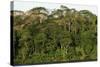 Rainforest in Soberania National Park-Paul Souders-Stretched Canvas