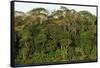 Rainforest in Soberania National Park-Paul Souders-Framed Stretched Canvas