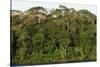 Rainforest in Soberania National Park-Paul Souders-Stretched Canvas