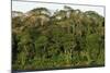 Rainforest in Soberania National Park-Paul Souders-Mounted Photographic Print