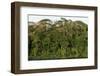 Rainforest in Soberania National Park-Paul Souders-Framed Photographic Print