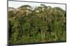 Rainforest in Soberania National Park-Paul Souders-Mounted Photographic Print