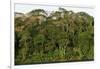 Rainforest in Soberania National Park-Paul Souders-Framed Photographic Print