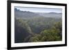 Rainforest in Tully Gorge National Park-Louise Murray-Framed Photographic Print