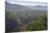 Rainforest in Tully Gorge National Park-Louise Murray-Mounted Photographic Print