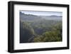 Rainforest in Tully Gorge National Park-Louise Murray-Framed Photographic Print