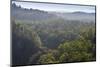 Rainforest in Tully Gorge National Park-Louise Murray-Mounted Photographic Print
