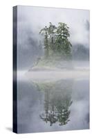 Rainforest Islands in Fog in Alaska-Paul Souders-Stretched Canvas