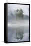 Rainforest Islands in Fog in Alaska-Paul Souders-Framed Stretched Canvas