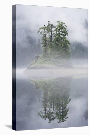 Rainforest Islands in Fog in Alaska-Paul Souders-Stretched Canvas
