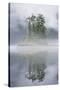 Rainforest Islands in Fog in Alaska-Paul Souders-Stretched Canvas