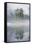 Rainforest Islands in Fog in Alaska-Paul Souders-Framed Stretched Canvas