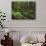 Rainforest, Mossy Rocks, Mt Rainier National Park, Washington, USA-Stuart Westmorland-Photographic Print displayed on a wall