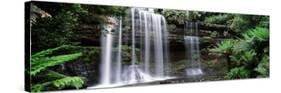 Rainforest, Mt. Field National Park, Tasmania, Australia-null-Stretched Canvas