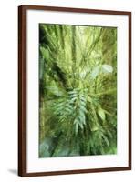 Rainforest Orosi Valley, Purisil Private Reserve-null-Framed Photographic Print