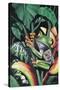 Rainforest Prince-Dann Spider-Stretched Canvas