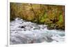 Rainforest River I-Douglas Taylor-Framed Photo