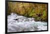 Rainforest River I-Douglas Taylor-Framed Photo