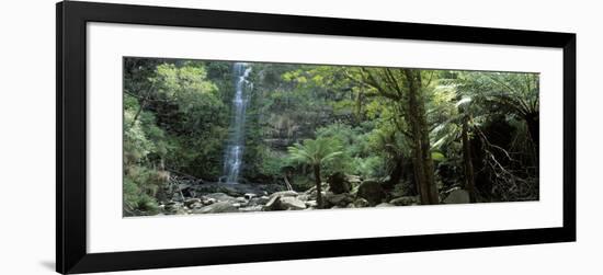 Rainforest, South Australia, Australia-Peter Adams-Framed Photographic Print