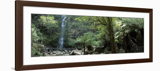 Rainforest, South Australia, Australia-Peter Adams-Framed Photographic Print