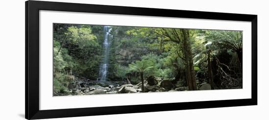 Rainforest, South Australia, Australia-Peter Adams-Framed Photographic Print