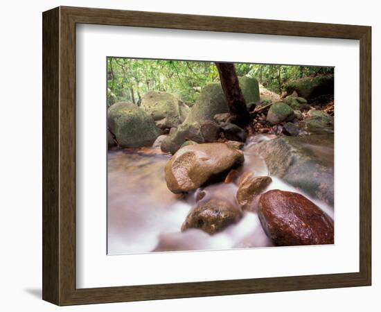 Rainforest Stream, Bako National Park, Borneo, Malaysia-Art Wolfe-Framed Photographic Print